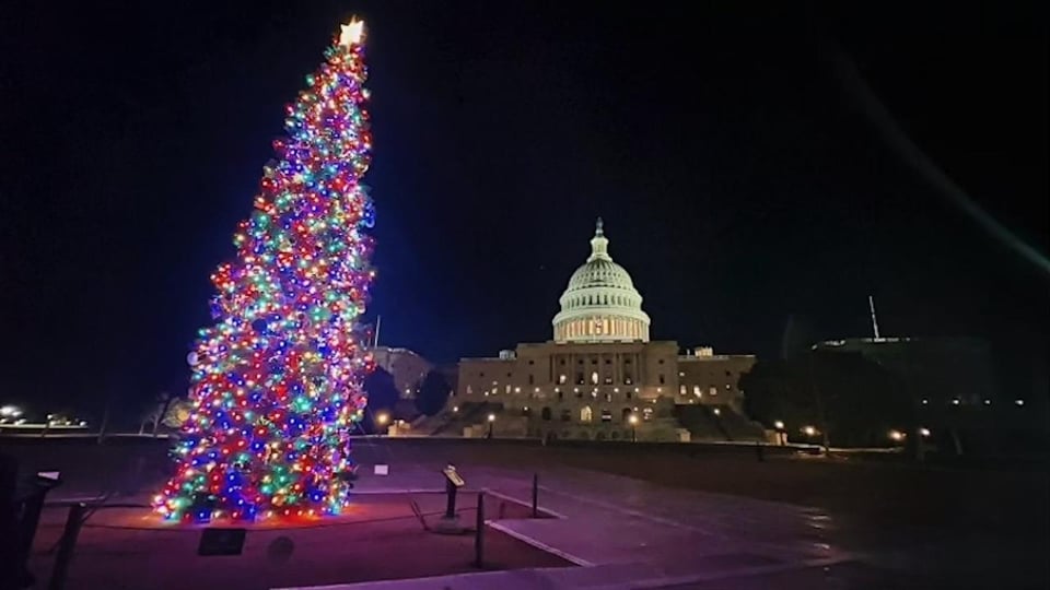 DC: Holiday Lights Night Tour with 10+ Stops &amp; Entry Tickets