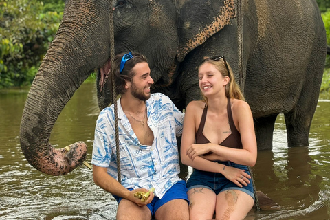 Chiang Mai 2-Day: Good Morning Elephant & Overnight Homestay