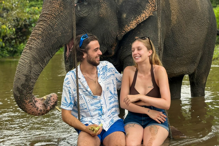 Chiang Mai 2-Day: Good Morning Elephant & Overnight Homestay