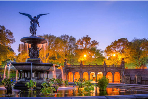 NYC Private Central Park Horse Carriage Ride with Guide NYC VIP Christmas Light Horse Carriage Ride