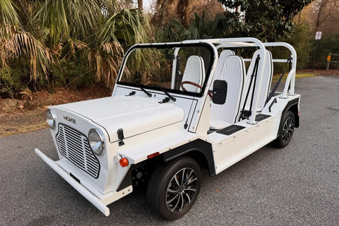Charleston: Electric Moke Rental 1 day rental