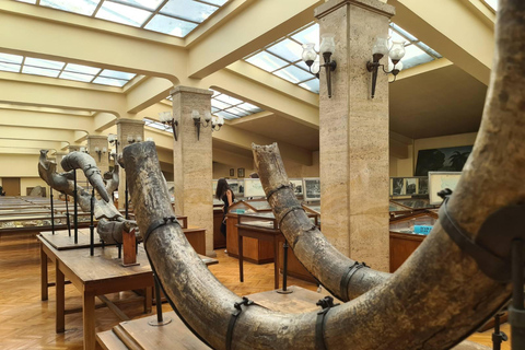 Audioguía del Museo de Paleontología y Geología Histórica