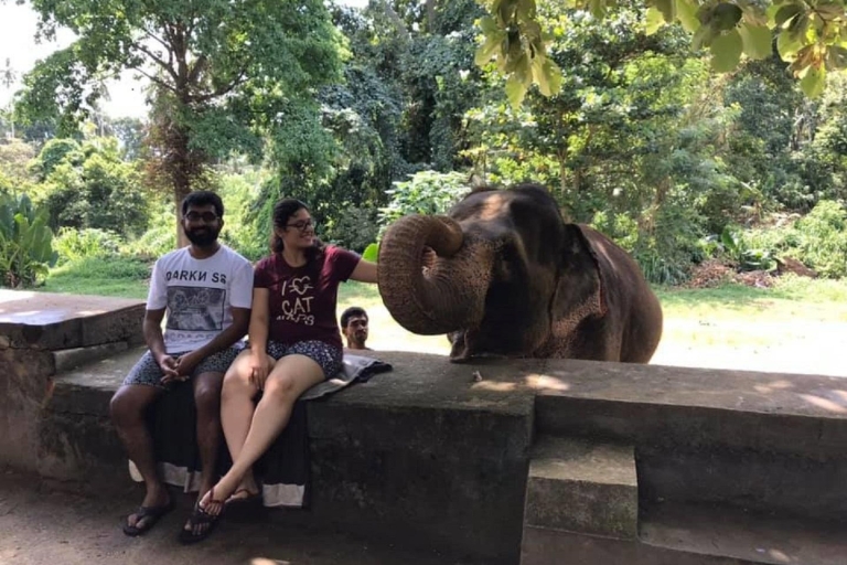 Merveilles de Pinnawala et charmes de Kandy : Une expédition en Tuk Tuk