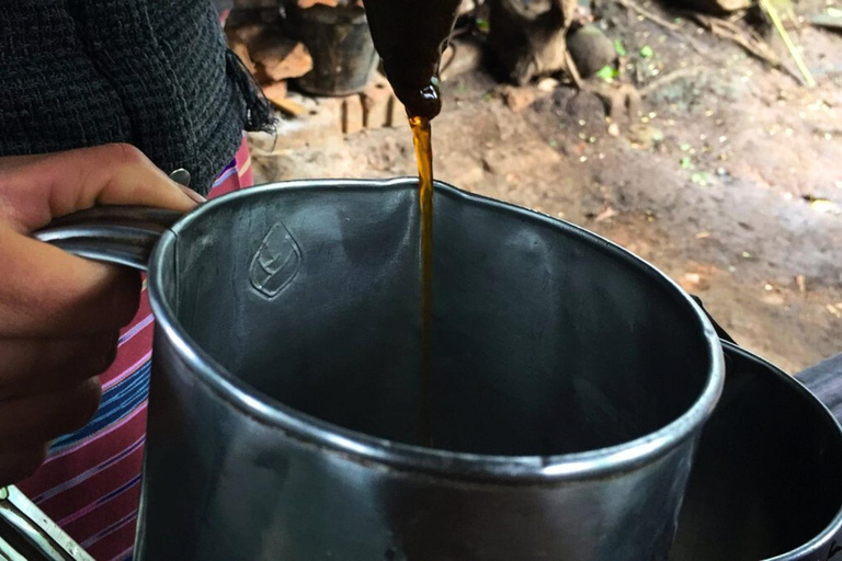 Chiang Mai : Punti salienti del Parco Nazionale Doi Inthanon