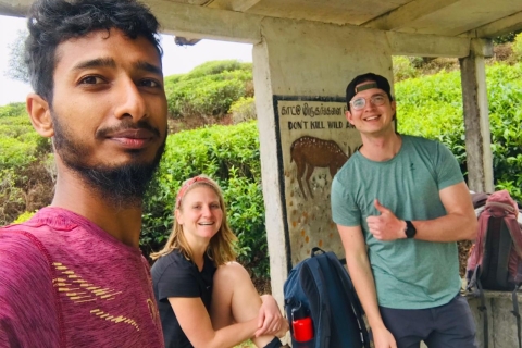 Trekking z Kandy do Ella