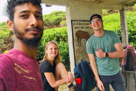 Trekking z Kandy do Ella