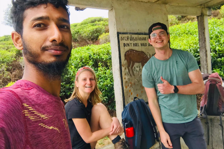 Trekking z Kandy do Ella