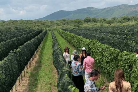 Leon: Tierra de Luz Vineyard Tour mit Weinverkostung