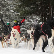 Aventure nordique en traîneau à chiens près de Mont-Tremblant
