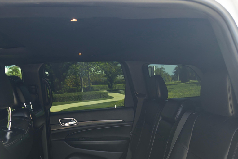 Punta Cana to La Romana Private driver with Champagne & wifi Rountrip