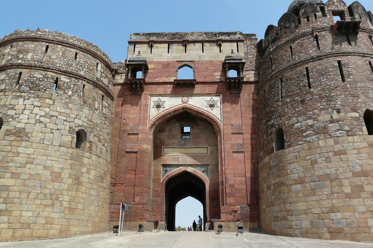 Delhi: tour a piedi di Purana Qila