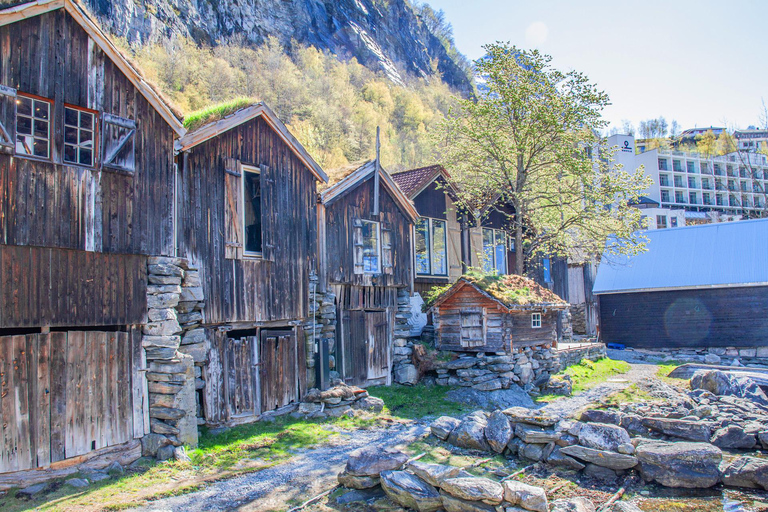 Geiranger Fjord Tour from Hellesylt (2 hours in Geiranger)
