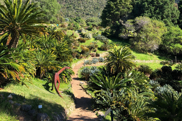 Cape Town: Skeleton Gorge Hike to Table Mountain Summit