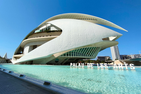 City of Arts and Sciences Private Bike tour