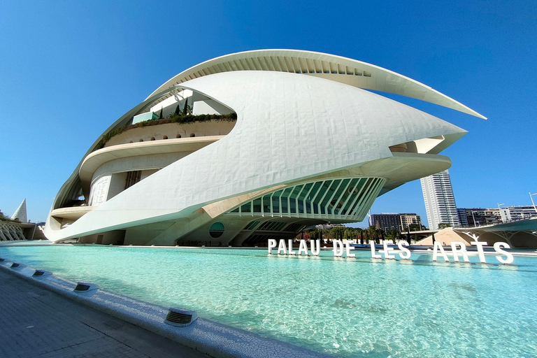 Visita privada en bicicleta por la Ciudad de las Artes y las Ciencias