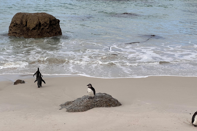 4-Day Private Highlights Tour & Overnight Big5 Aquila Safari 4-Day Private Highlights Tour & Overnight Big5 Safari Aquila