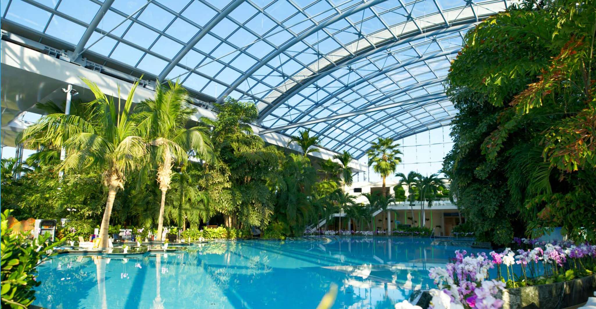 Bucuresti: Therme Bucharest Evening Entry Ticket & Transfer photo 4