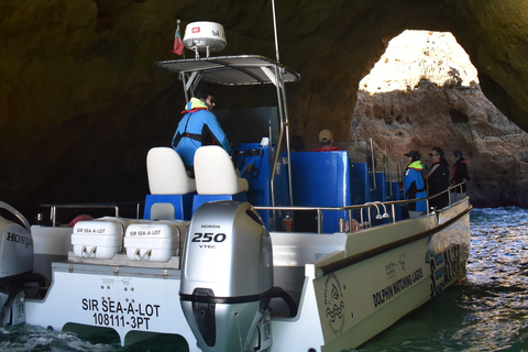 Ab Lagos: Benagil-Höhle und Küstenrundfahrt mit dem Katamaran