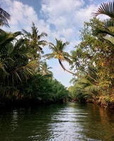 Tour del Kampot Day, campagna, fattoria di pepe e kayak - Housity
