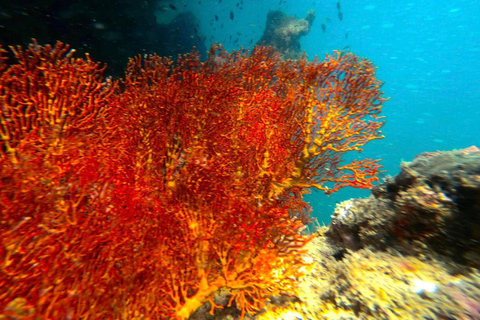 Koh Lanta: 4 Islands and Emerald Cave Snorkeling Trip