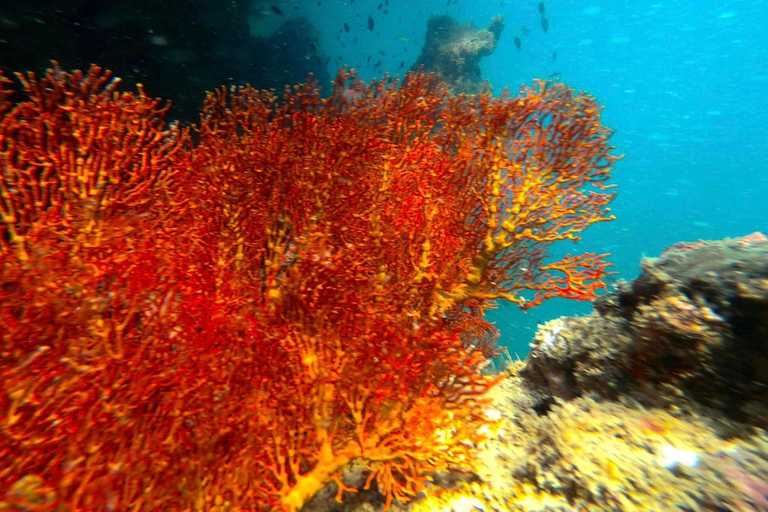 Koh Lanta: 4 Islands and Emerald Cave Snorkeling Trip