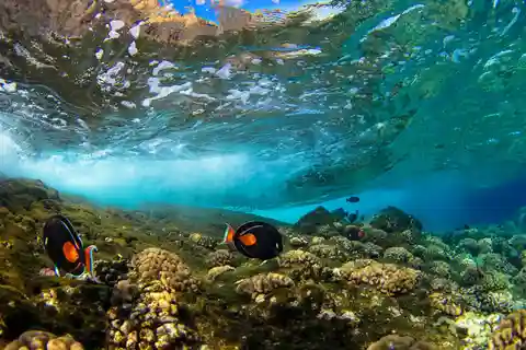 Maui: Snorkeling e navigazione al tramonto con scivolo d'acqua