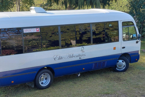 Rotorua: Eco-Thermal Afternoon Tour