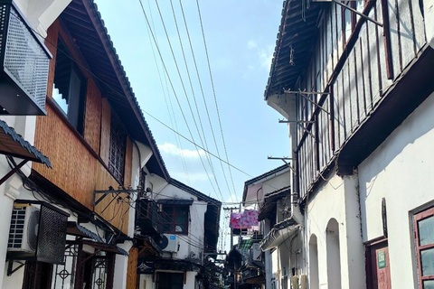 Shanghai: Zhujiajiao Ancient Town Tour