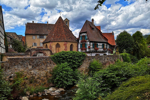 Från Colmar: Alsace vinrutt tur halvdag