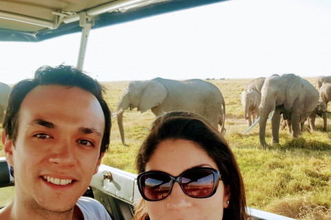 7-Day Luxury Safari to Amboseli, Lake Naivasha & Masai Mara