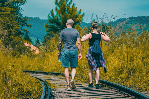 Ella: De Pekoe Trail Etappe 16 - Ella naar DemodaraHet Pekoe pad etappe 16