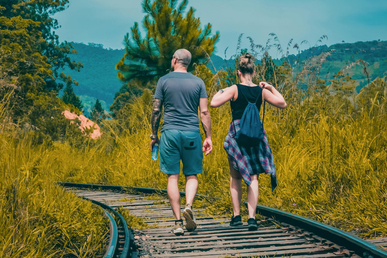 Ella: De Pekoe Trail Etappe 16 - Ella naar DemodaraHet Pekoe pad etappe 16