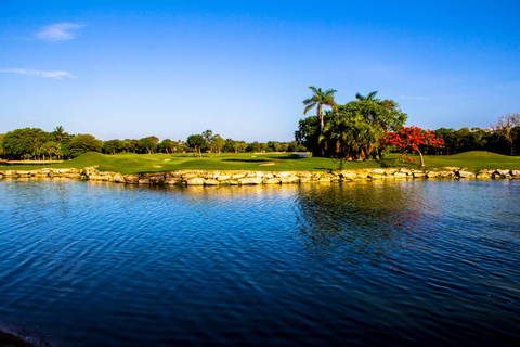 Play Hard Rock Golf Course W/Clubs
