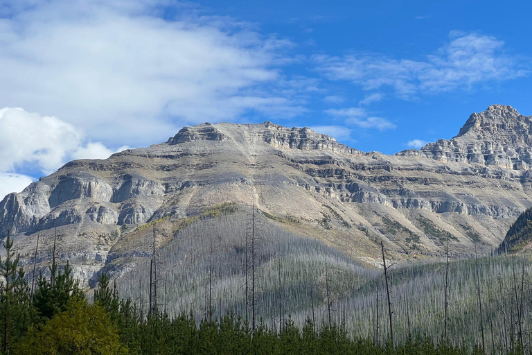 Calgary: Emerald Lake & Takakkaw Falls Small Group Tour