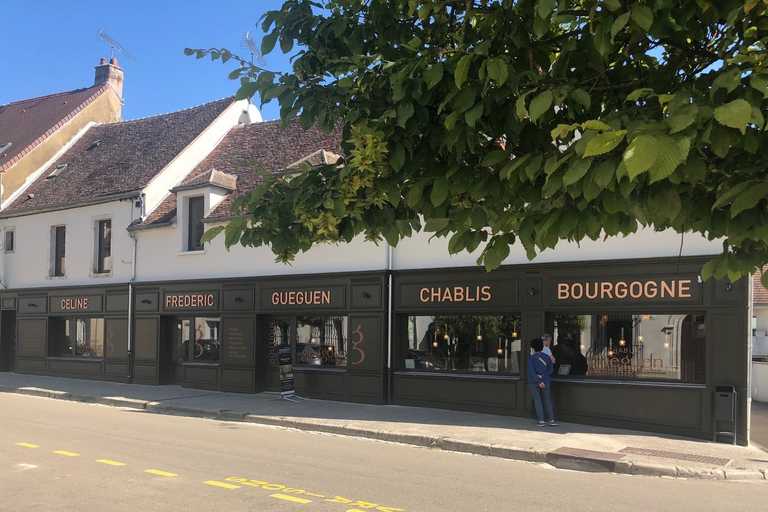 Chablis: Visit of the Grand Cru vineyard