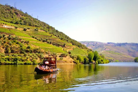 Porto: Douro Valley Tour at 2 Wineries with Lunch and Cruise