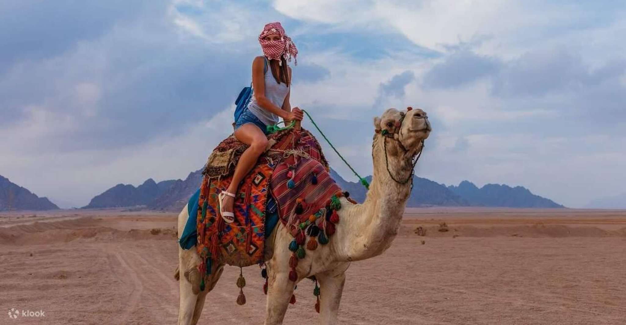 Doha: DesertSafari with Quad Bike, Camel Ride & Sandboarding photo 17