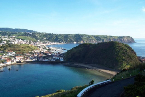 Faial Island Guided Eco Van Tour Half Day Shared Eco Tour