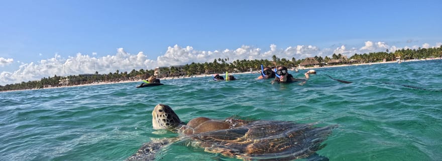 Akumal : plongée guidée avec des tortues vertes + photos avec GoPro