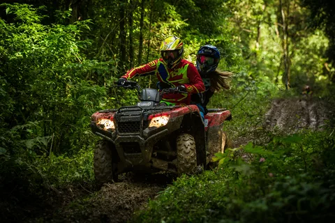 Aventura de ATV nas Montanhas Rochosas Canadenses e excursão de um dia ao Marble Canyon