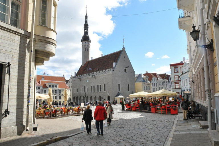 Individual excursion in Tallinn