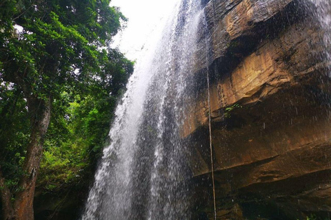 Kwale: Private day tour to Shimba Hills with Picnic lunch