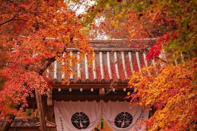 Nikko: Kegon Falls, Chuzenji, Shinkyo Bridge, Toshogu Temple In Luxury Velfire Nikko Private Customized Tour