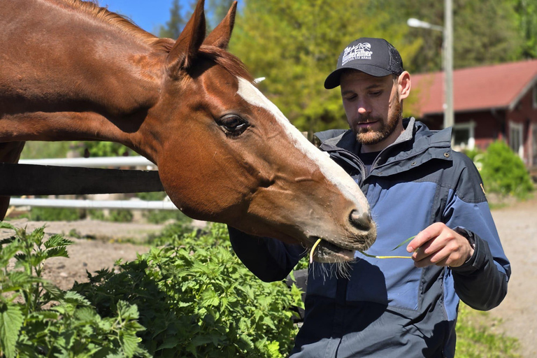 赫尔辛基：驯鹿公园与马厩私人游赫尔辛基：驯鹿公园与马厩私人导览游