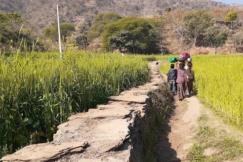 Visita guiada a la vida rural en tuk tuk.Visita guiada por la vida rural en tuk tuk