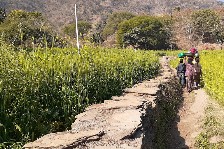 Visita guiada a la vida rural en tuk tuk.Visita guiada por la vida rural en tuk tuk