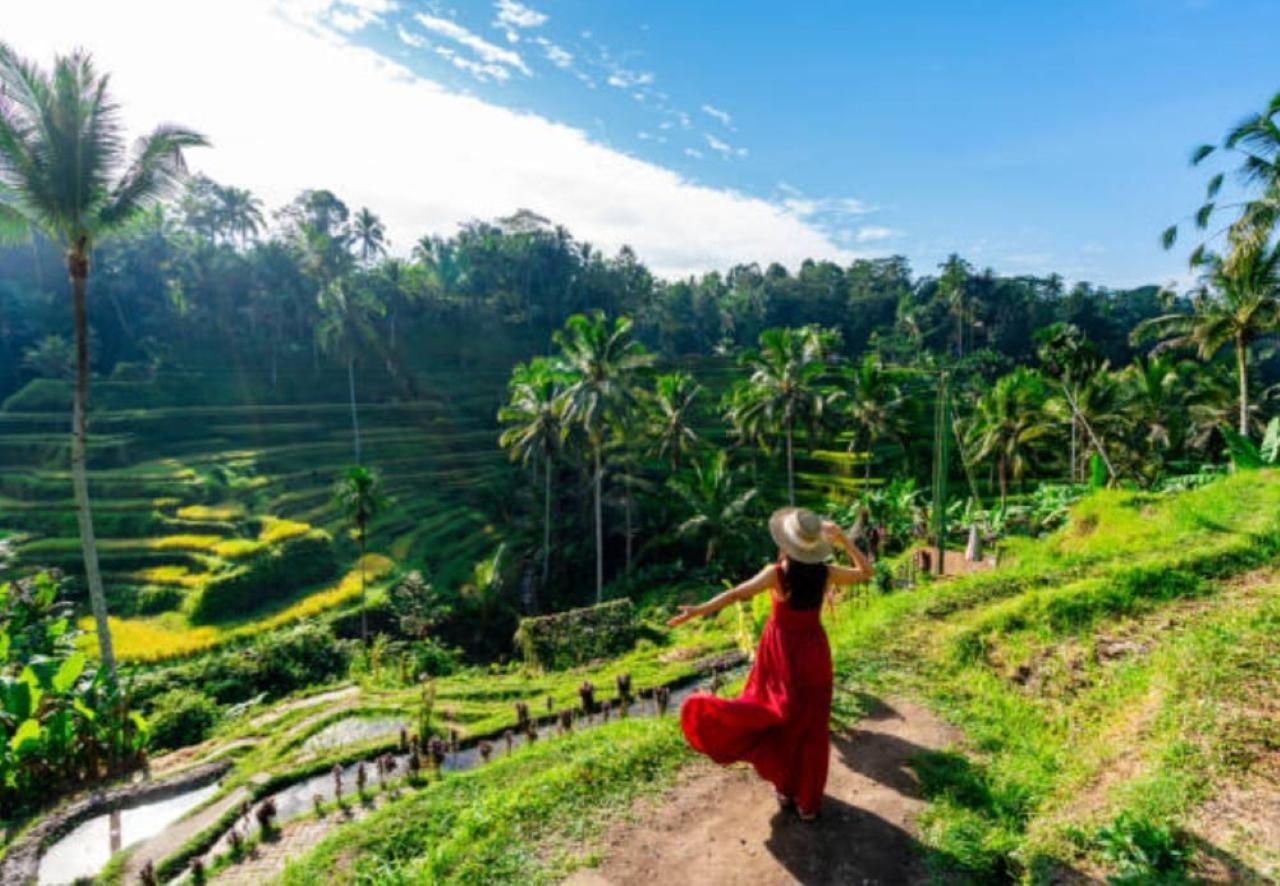 Private, individuelle Tour auf Bali – Ganztägiger Fahrer/Guide (10 Std.)