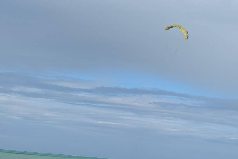 Delfintur i Mnemba, lagunakvarium och Kiwengwa-stranden.Privat tur med hotelltransfer i norra Unguja