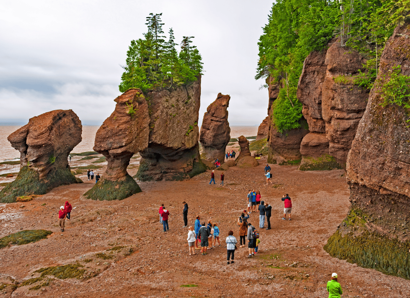 Fra Moncton: Eksprestur til Hopewell Rocks
