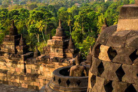 INCREÍBLE VISITA A BOROBUDUR